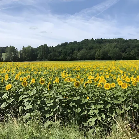 Maison Les Fleuries *